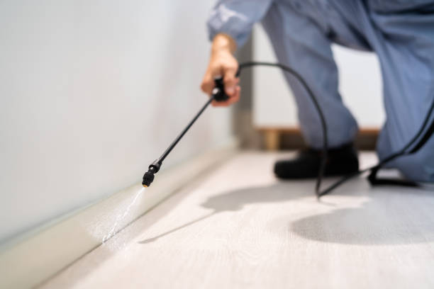 Licensed Fumigation Services service in Custer County County, ID - Nex Pest Control