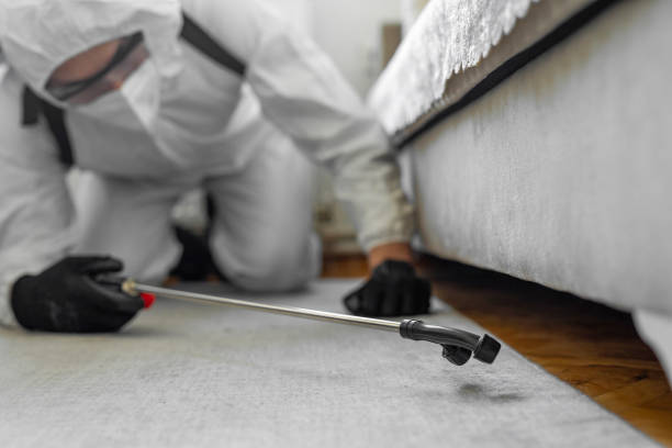 Professional Fumigation Services technician working in Custer County County, ID